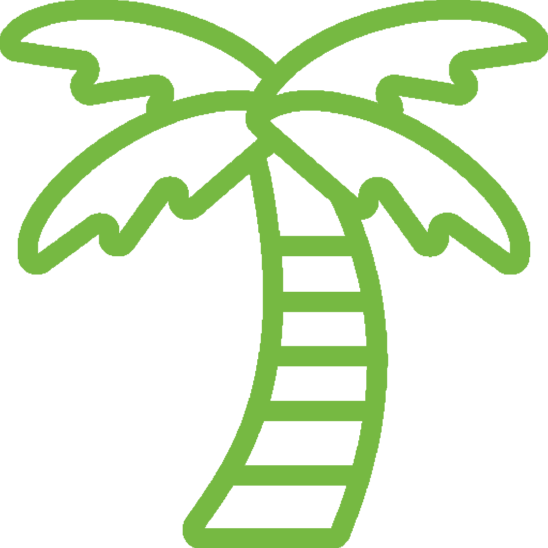 Servicio de destoconado de palmeras infectadas por el picudo rojo