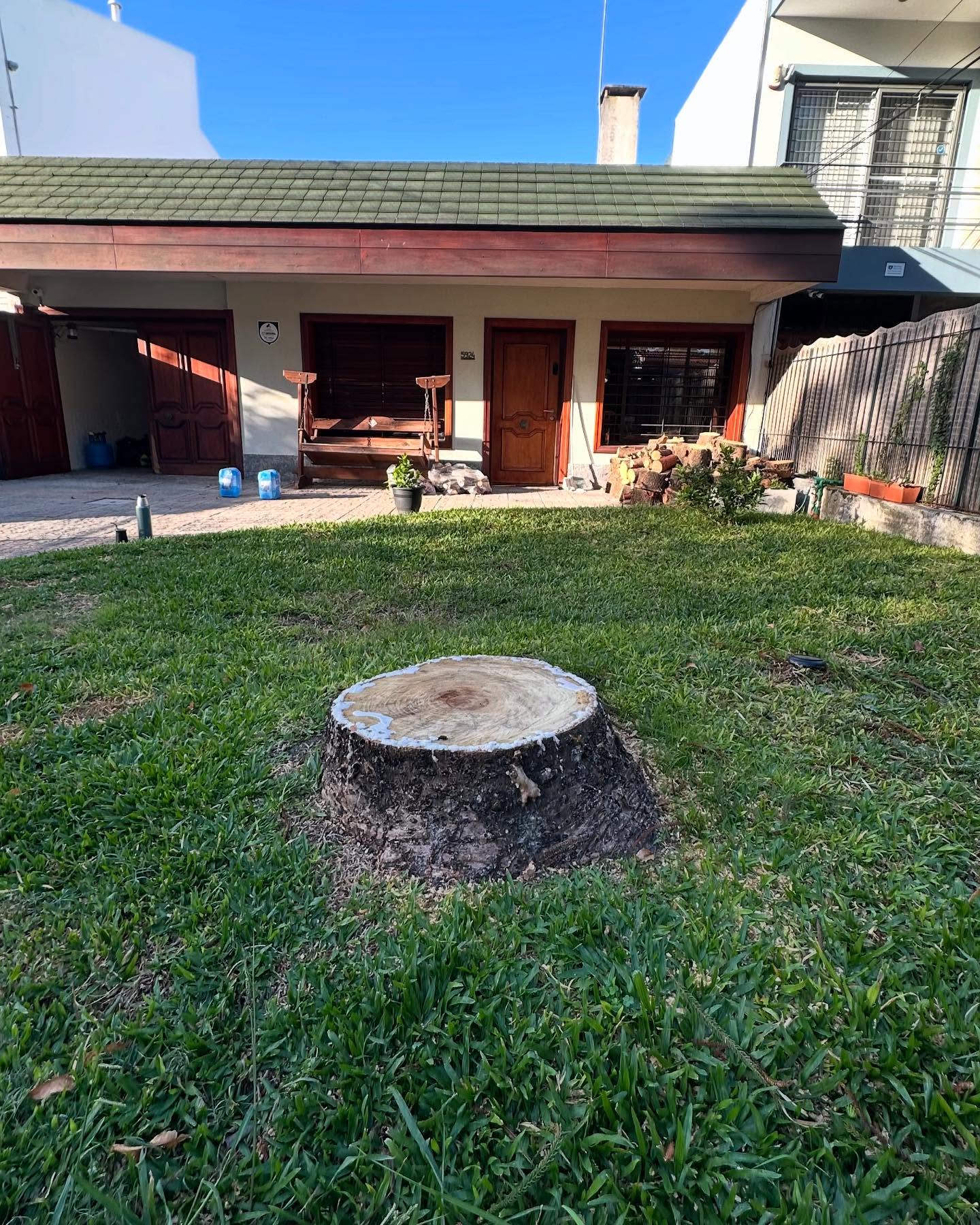 Área despejada tras destoconado profesional