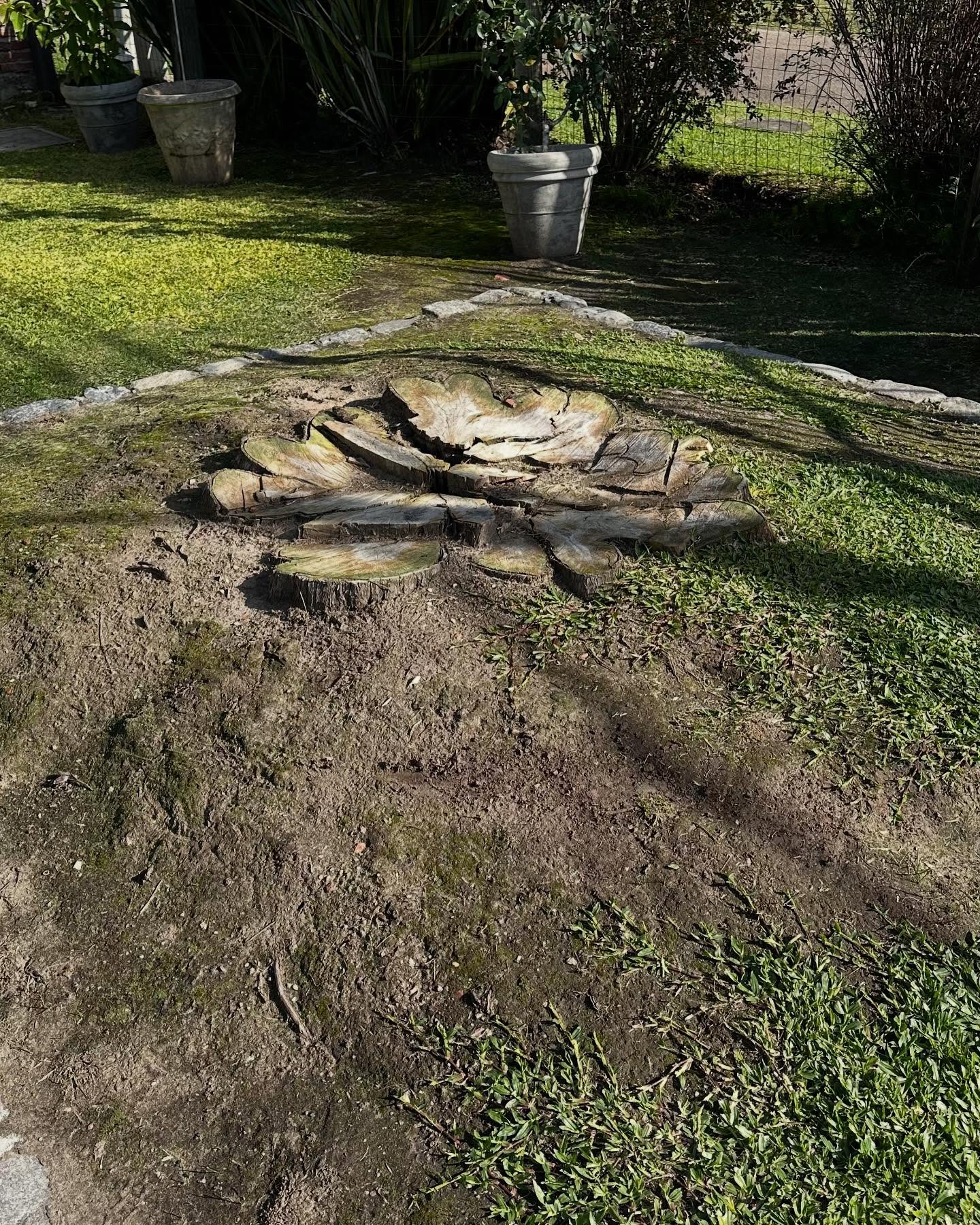 Zona libre de tocones tras el trabajo realizado